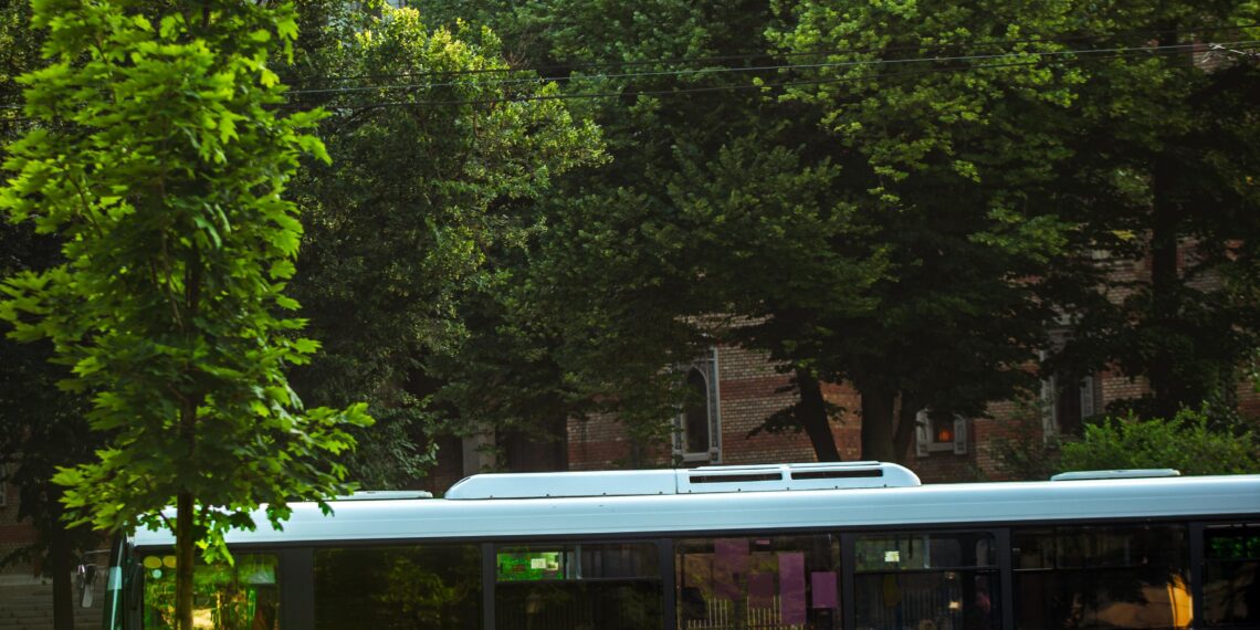 Autobuzul Puilor de CODRU circulă de astăzi pe traseul 33B în Timișoara/Foto