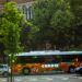 Autobuzul Puilor de CODRU circulă de astăzi pe traseul 33B în Timișoara/Foto