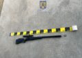 Timișean reținut după ce a dat buzna într-o curte și a tras după păsări