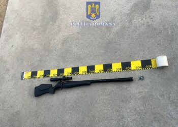 Timișean reținut după ce a dat buzna într-o curte și a tras după păsări