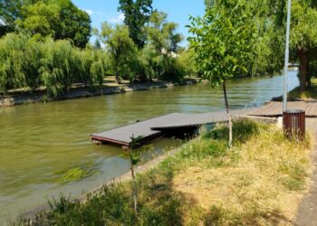 Verificări ale polițiștilor locali pe malurile Canalului Bega