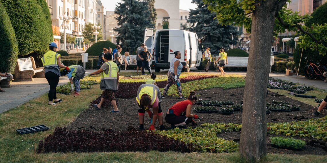 Covor imens din aproape 80.000 de flori, în Piața Victoriei/Foto