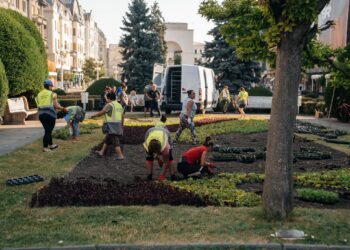 Covor imens din aproape 80.000 de flori, în Piața Victoriei/Foto