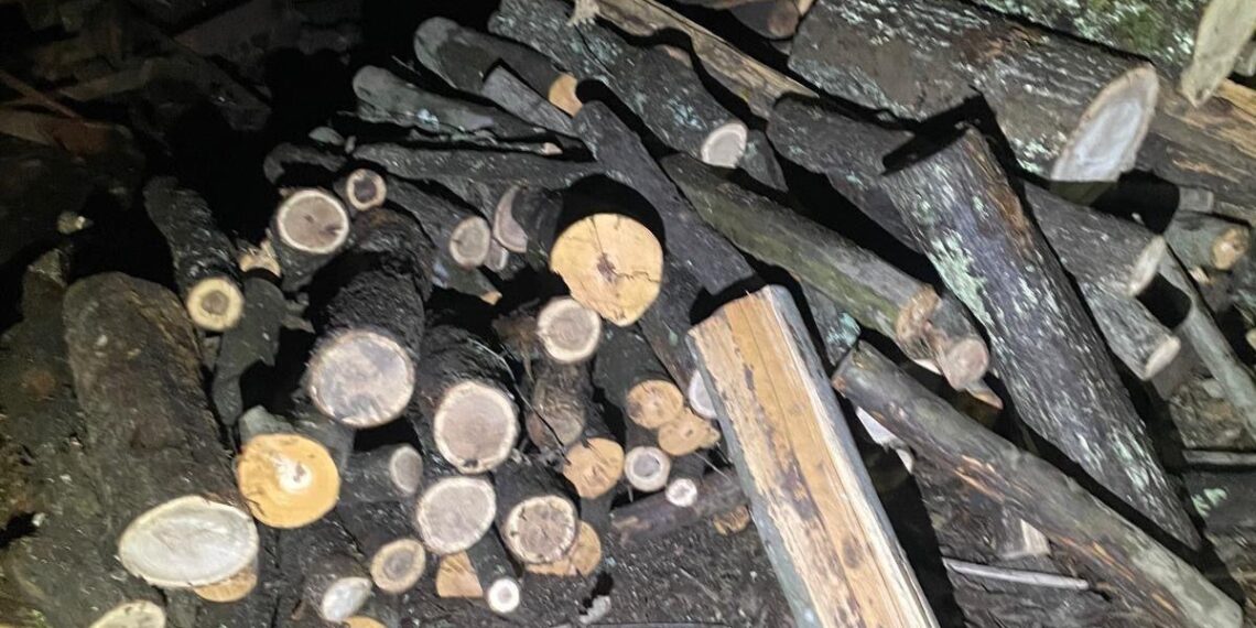 Depistat în trafic, fără permis de conducere, transportând lemne fără proveniență legală