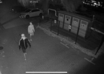 Intervenție cu succes. Persoane surprinse în flagrant în Cartierul Florilor din comuna Giroc