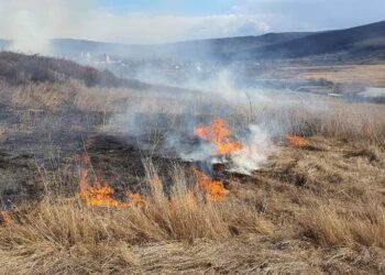 Incendiu periculos în Arad! Flăcările s-au extins rapid din cauza vântului puternic