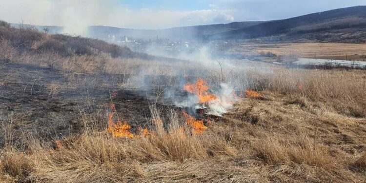 Incendiu periculos în Arad! Flăcările s-au extins rapid din cauza vântului puternic