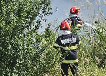 Nu dați foc la miriște! Cinci incendii de vegetație, azi, în județul Arad/Video