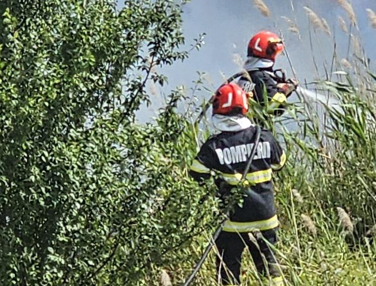 Nu dați foc la miriște! Cinci incendii de vegetație, azi, în județul Arad/Video