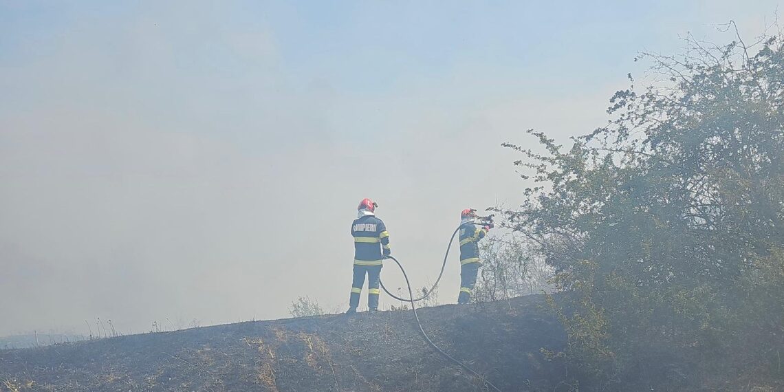 Nu dați foc la miriște! Cinci incendii de vegetație, azi, în județul Arad/Video