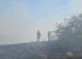 Nu dați foc la miriște! Cinci incendii de vegetație, azi, în județul Arad/Video
