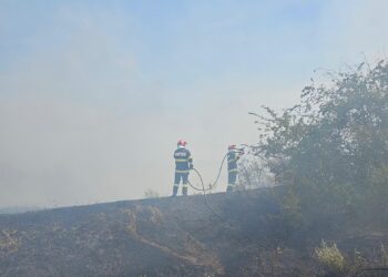 Nu dați foc la miriște! Cinci incendii de vegetație, azi, în județul Arad/Video