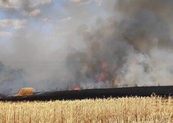 Joi, zi de foc pentru pompierii timișeni