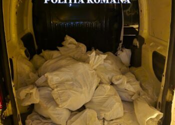10 milioane de lei furați de la Poșta Română din Timișoara, depistați de către polițiști într-o autoutilitară cu numere false de Franța/Video