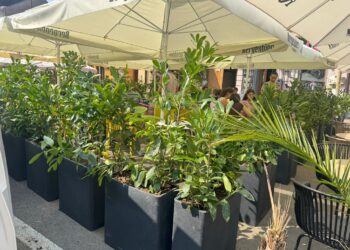 Terasele din Lugoj – mai verzi și mai primitoare ca niciodată/Foto