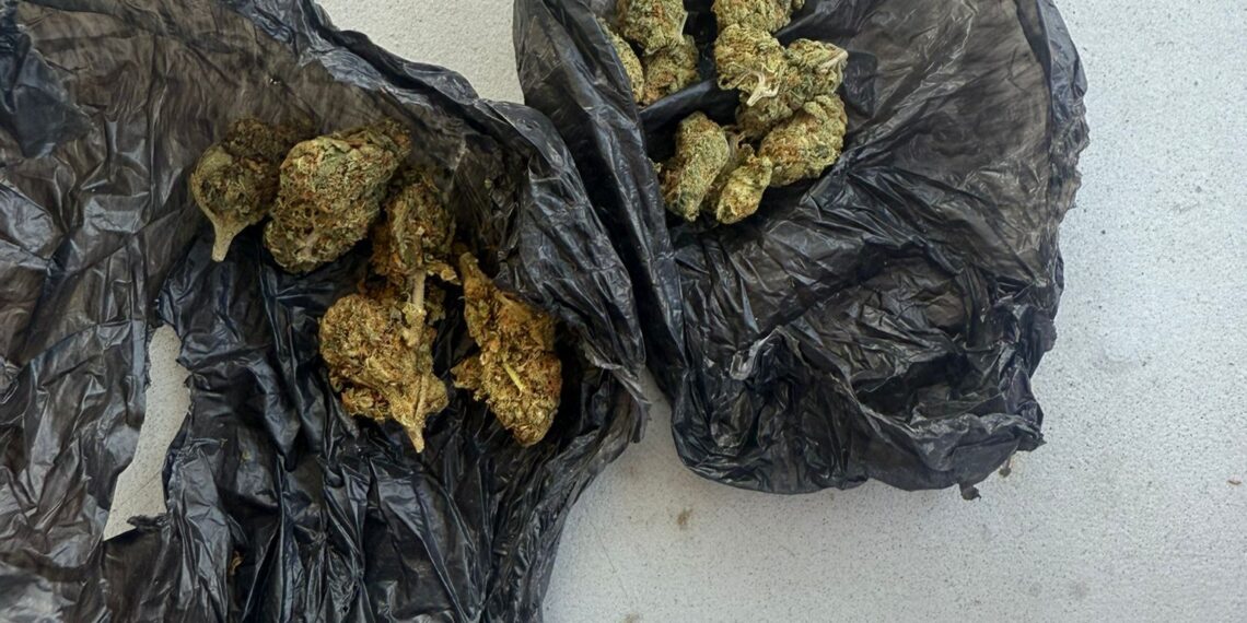 Patrulare cu rezultat: substanțe susceptibile a fi interzise, descoperite de Gruparea Mobilă Timișoara