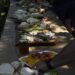Sadova Veche devine gazda unei experiențe gastronomice autentice, cu un producător susținut de „Produs în Banat”