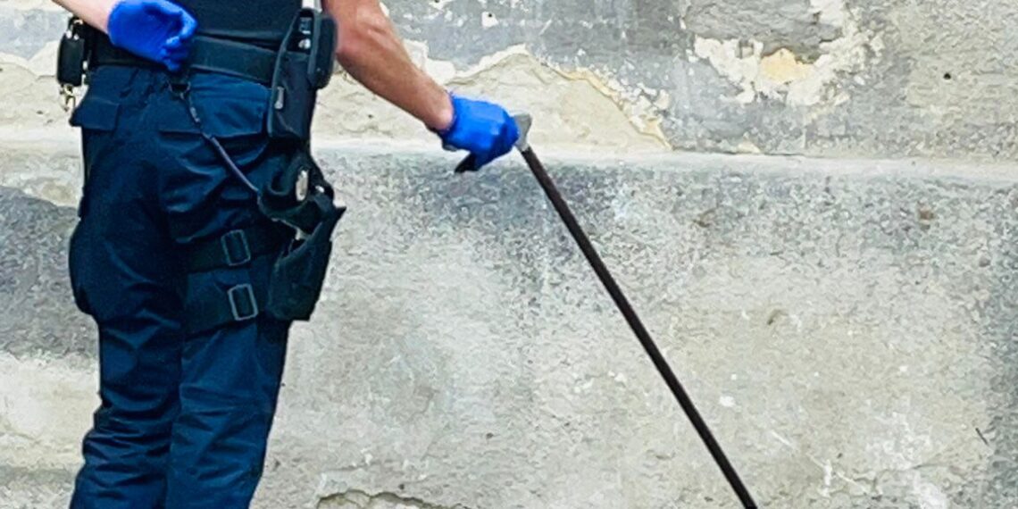 Jandarmii, la datorie chiar și în fața celor mai neașteptate situații