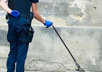 Jandarmii, la datorie chiar și în fața celor mai neașteptate situații