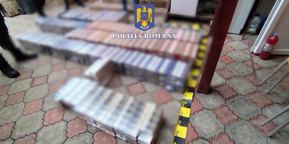 Percheziții privind infracțiunea de contrabandă. Peste 31 mii de pachete de țigarete ridicate