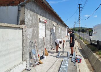 La Grădinari, au venit americanii!