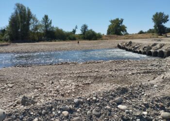 Construcție ilegală în albia minoră a râului Timiș – Operator economic sancționat de Garda Națională de Mediu