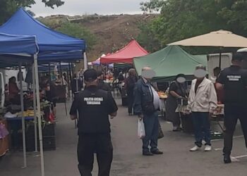 Acțiune a polițiștilor locali în piețele din Timișoara – 118 comercianți verificați, 19 sancțiuni contravenționale aplicate pentru nerespectarea regulilor de comerț