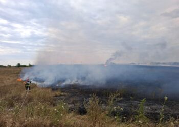 Amplu incendiu de vegetație uscată la Buziaș