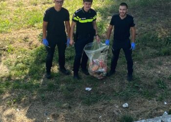 Lugojul, mai curat datorită oamenilor care aleg să se implice