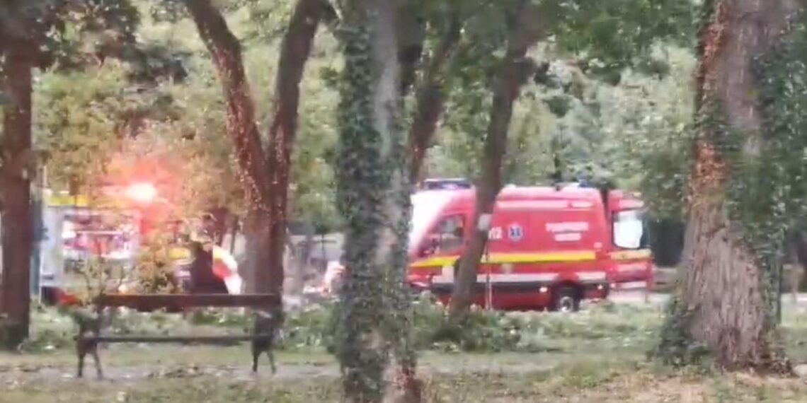 Furtună cu victime, la Timișoara. Copac prăbușit peste un tânăr, în centrul orașului. Oameni răniți la concert