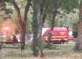 Furtună cu victime, la Timișoara. Copac prăbușit peste un tânăr, în centrul orașului. Oameni răniți la concert