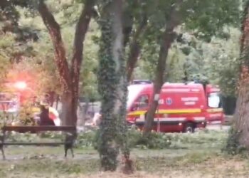 Furtună cu victime, la Timișoara. Copac prăbușit peste un tânăr, în centrul orașului. Oameni răniți la concert