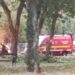 Furtună cu victime, la Timișoara. Copac prăbușit peste un tânăr, în centrul orașului. Oameni răniți la concert