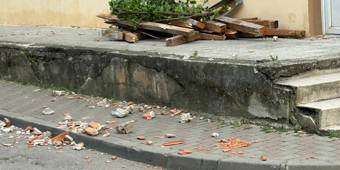 Vijelia a făcut prăpăd în Timiș! O femeie rănită, zeci de copaci și cabluri căzute, acoperișuri smulse și incendii de vegetație