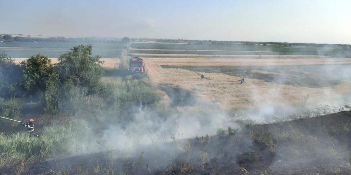 Intervenții ale pompierilor militari arădeni pentru stingerea incendiilor de vegetație uscată și culturi agricole