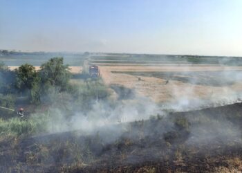 Intervenții ale pompierilor militari arădeni pentru stingerea incendiilor de vegetație uscată și culturi agricole