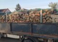 Transport ilegal de material lemnos depistat de polițiștii rutieri