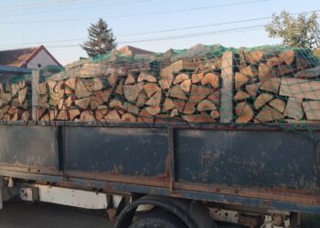 Transport ilegal de material lemnos depistat de polițiștii rutieri