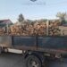 Transport ilegal de material lemnos depistat de polițiștii rutieri