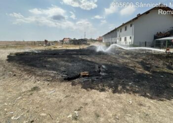 Peste 45 hectare afectate de incendii de vegetație