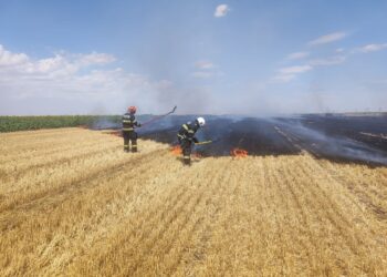 IPJ Caraș-Severin consultă cetățenii pentru creșterea siguranței rutiere