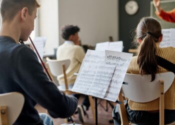 Tinerii lugojeni se pot perfecționa la ei acasă