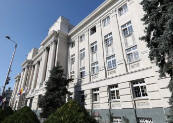 Incendiu la o hală din Jebel/Video