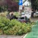 Cod roșu de furtună la Timișoara: vijelia a doborât copaci/Video
