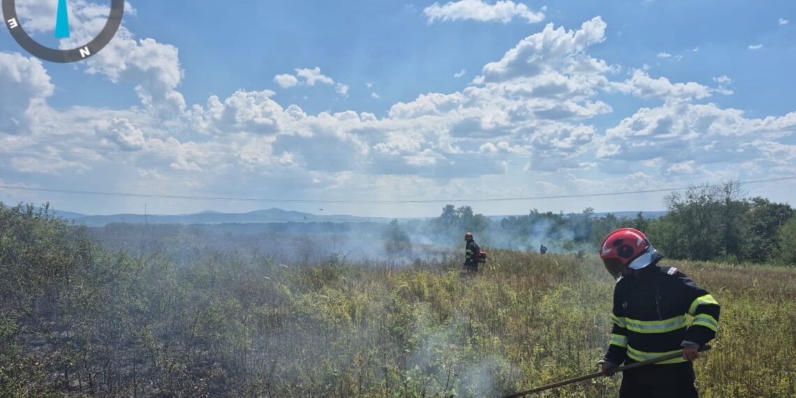Val de incendii de vegetație în județul Timiș. În doar șapte zile, pompierii au intervenit la 25 de incendii
