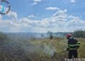 Val de incendii de vegetație în județul Timiș. În doar șapte zile, pompierii au intervenit la 25 de incendii
