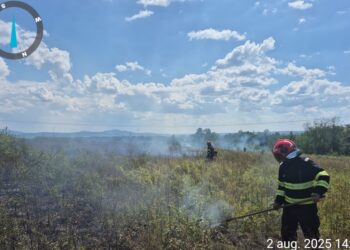 Val de incendii de vegetație în județul Timiș. În doar șapte zile, pompierii au intervenit la 25 de incendii