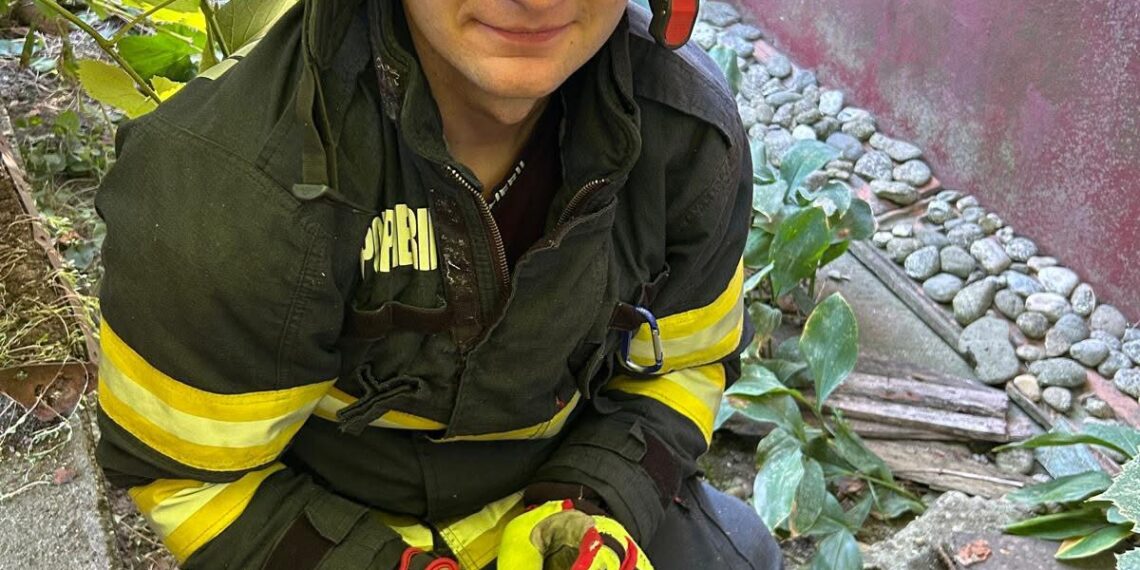 Pui de pisică salvat de pompierii timișeni