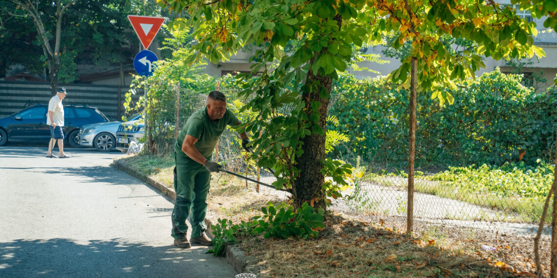 Timișoara: Curățenie generală la spațiile verzi din zonele Circumvalațiunii și Odobescu