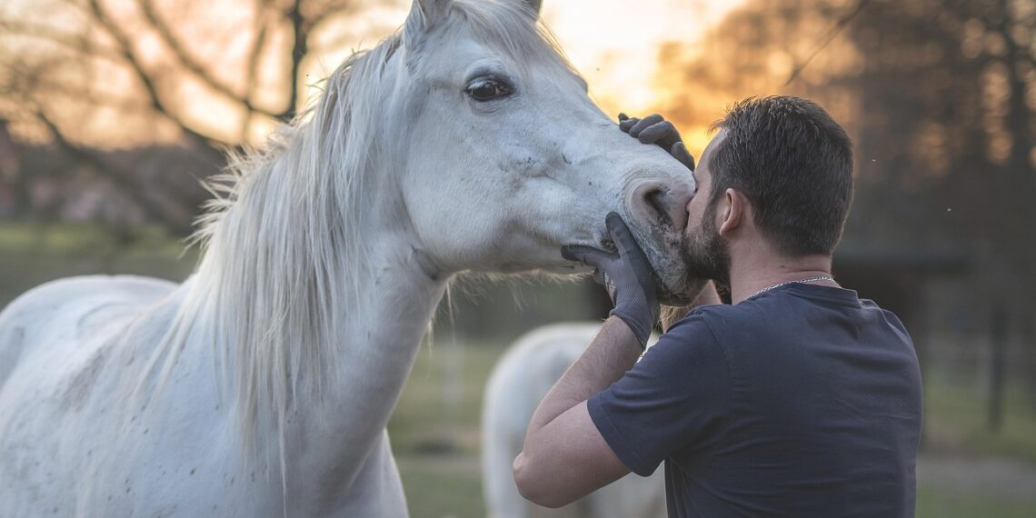 Eveniment ecvestru de excepție la Domeniul Herneacova – Clear Round Jumping Practice